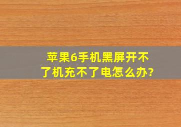 苹果6手机黑屏开不了机,充不了电怎么办?