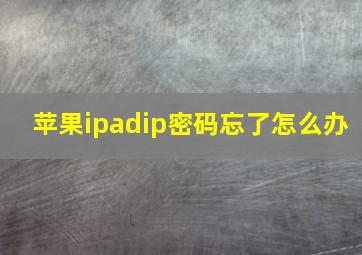 苹果ipadip密码忘了怎么办