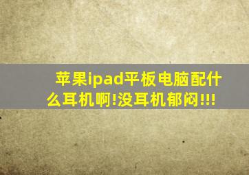 苹果ipad平板电脑配什么耳机啊!没耳机郁闷!!!