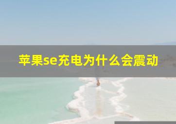 苹果se充电为什么会震动