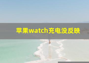 苹果watch充电没反映