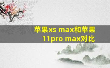 苹果xs max和苹果11pro max对比