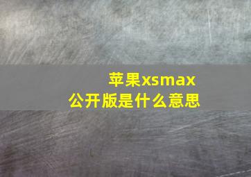苹果xsmax公开版是什么意思