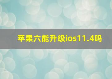 苹果六能升级ios11.4吗