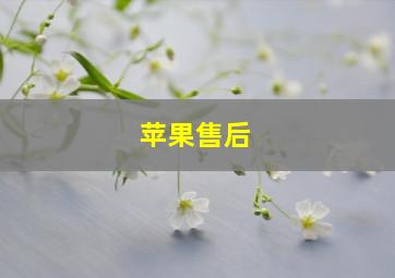 苹果售后