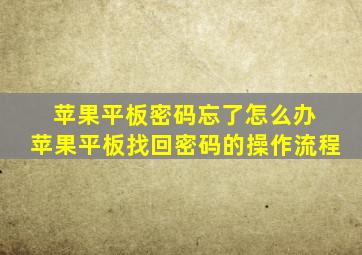 苹果平板密码忘了怎么办 苹果平板找回密码的操作流程