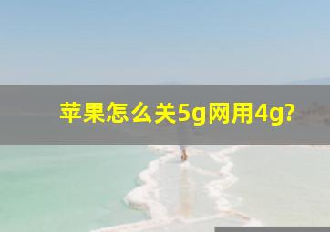 苹果怎么关5g网用4g?