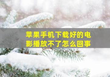 苹果手机下载好的电影播放不了怎么回事