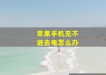 苹果手机充不进去电怎么办