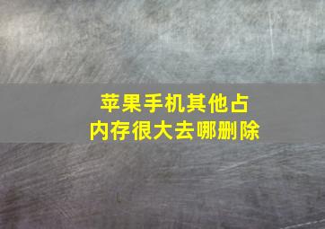 苹果手机其他占内存很大去哪删除