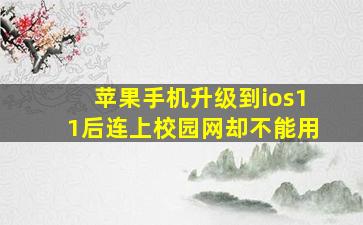 苹果手机升级到ios11后连上校园网却不能用。