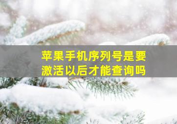 苹果手机序列号是要激活以后才能查询吗(