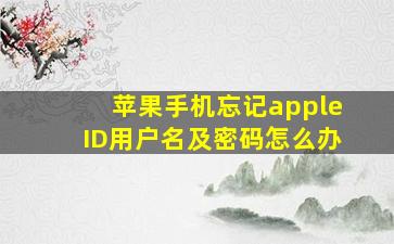 苹果手机忘记appleID用户名及密码怎么办(