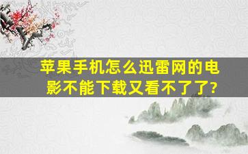 苹果手机怎么迅雷网的电影不能下载又看不了了?