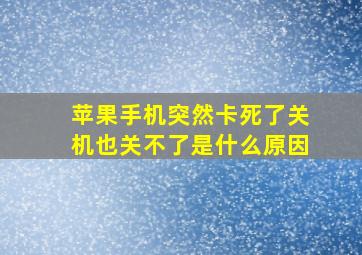 苹果手机突然卡死了关机也关不了是什么原因(