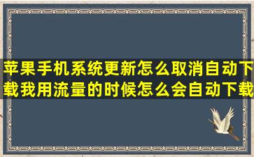 苹果手机系统更新怎么取消自动下载,我用流量的时候怎么会自动下载