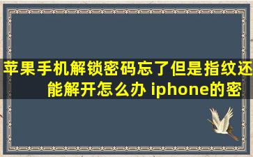 苹果手机解锁密码忘了但是指纹还能解开怎么办 iphone的密码忘了怎么...