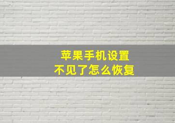 苹果手机设置不见了怎么恢复