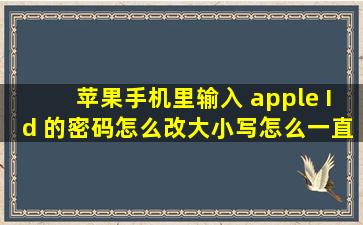 苹果手机里输入 apple Id 的密码怎么改大小写,怎么一直都是小写啊