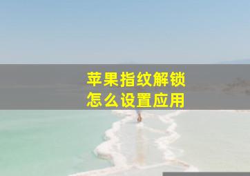 苹果指纹解锁怎么设置应用