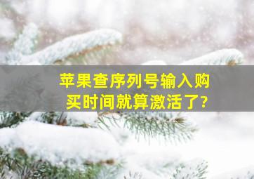 苹果查序列号输入购买时间就算激活了?