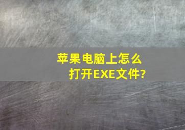 苹果电脑上怎么打开EXE文件?