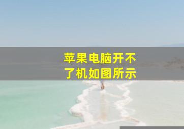 苹果电脑开不了机,如图所示