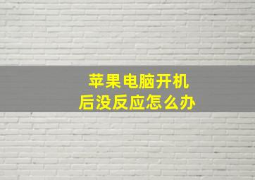 苹果电脑开机后没反应怎么办