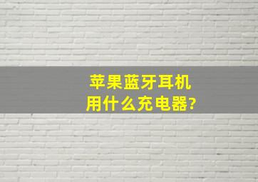 苹果蓝牙耳机用什么充电器?