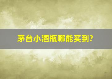 茅台小酒瓶哪能买到?