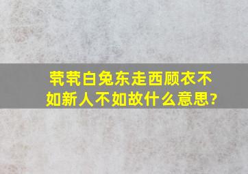 茕茕白兔东走西顾衣不如新人不如故什么意思?