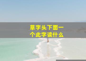 草字头下面一个此字读什么