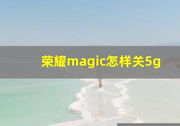 荣耀magic怎样关5g