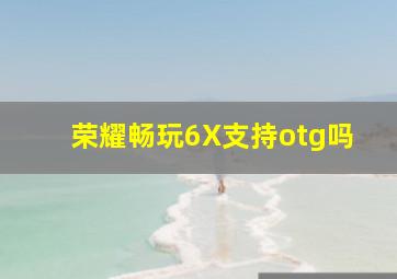 荣耀畅玩6X支持otg吗