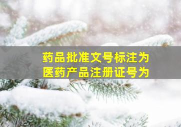 药品批准文号标注为医药产品注册证号为(