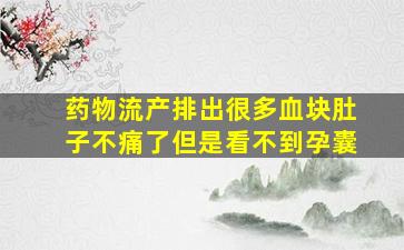 药物流产排出很多血块肚子不痛了,但是看不到孕囊