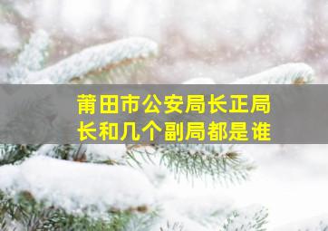 莆田市公安局长正局长和几个副局都是谁