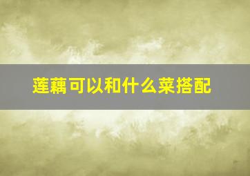 莲藕可以和什么菜搭配