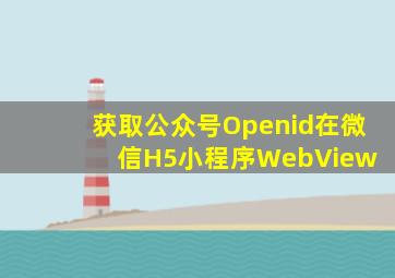 获取公众号Openid在微信H5、小程序WebView 