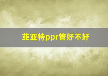 菲亚特ppr管好不好