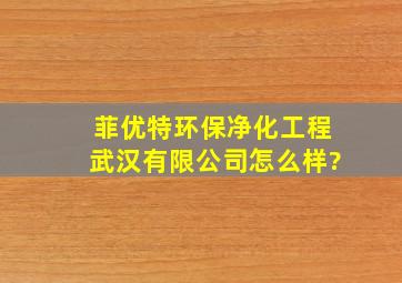 菲优特环保净化工程(武汉)有限公司怎么样?