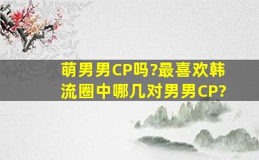 萌男男CP吗?最喜欢韩流圈中哪几对男男CP?