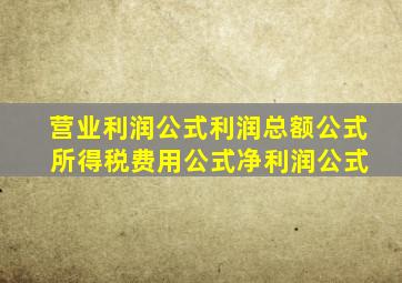 营业利润公式、利润总额公式 、所得税费用公式、净利润公式