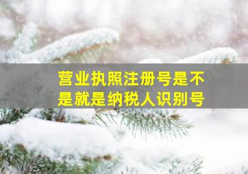 营业执照注册号是不是就是纳税人识别号