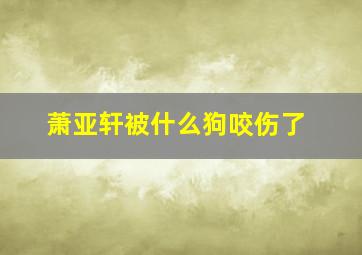 萧亚轩被什么狗咬伤了