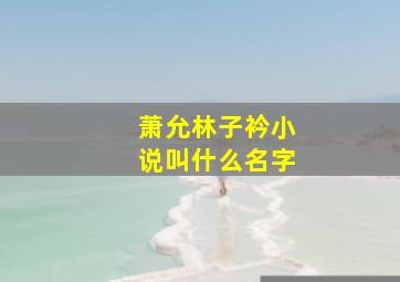 萧允林子衿小说叫什么名字