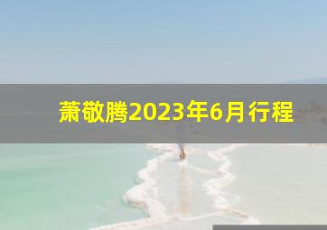 萧敬腾2023年6月行程