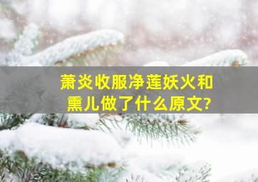 萧炎收服净莲妖火和熏儿做了什么原文?