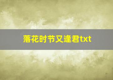 落花时节又逢君txt