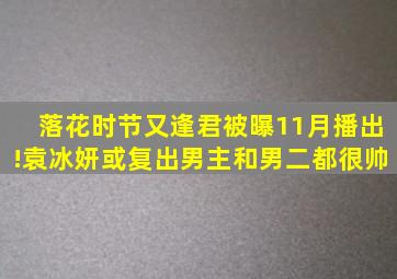 落花时节又逢君被曝11月播出!袁冰妍或复出,男主和男二都很帅